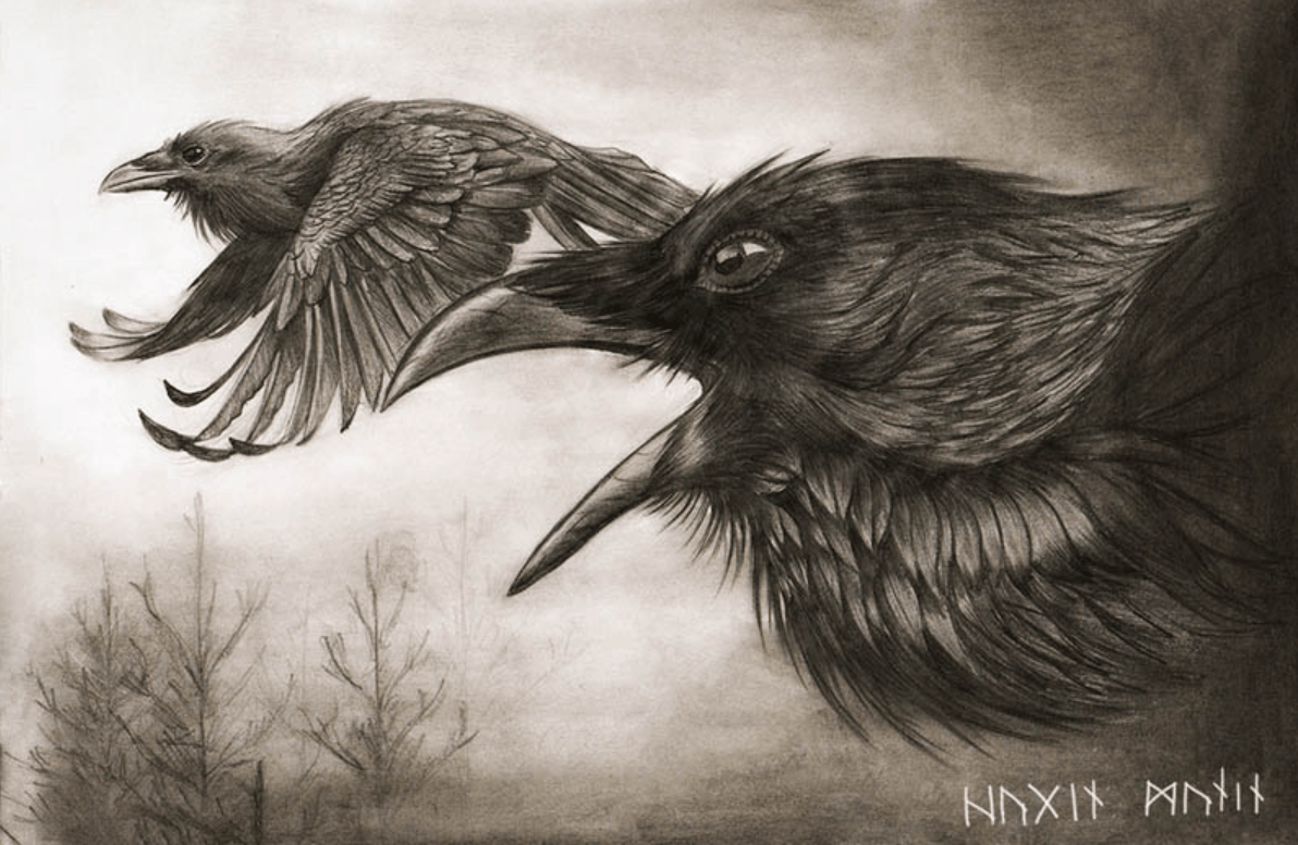 Hugin and Munin: Odin's Ravens and Things You May Not Know - Grizz Studio, image size:1192x776