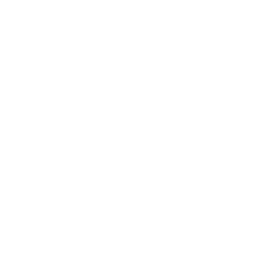 Vegvisir