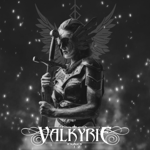 Valkyrie Warrior - Image 2