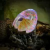 DragonGlow Embryo Hatchlight