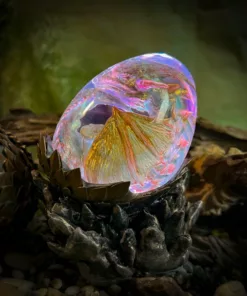 DragonGlow Embryo Hatchlight