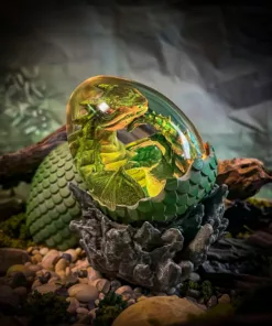 Forest Dragon, Sandara Tang Hatchlight